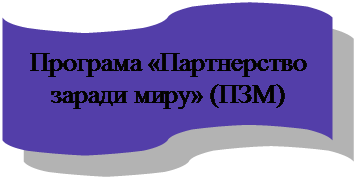 Блок-схема: перфолента: Програма «Партнерство заради миру» (ПЗМ)